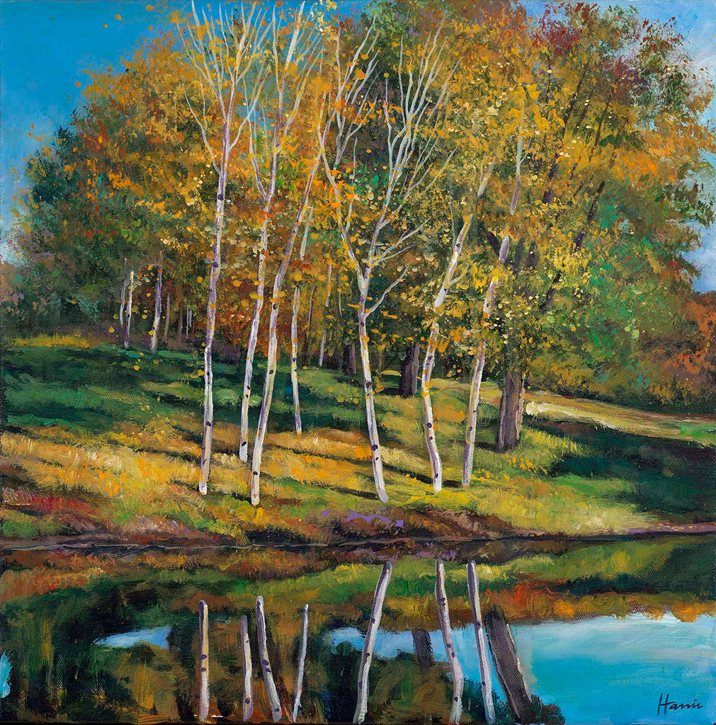 Aspen Colorado Southwest Landscape Art Print by Contemporary Artist Johnathan Harris