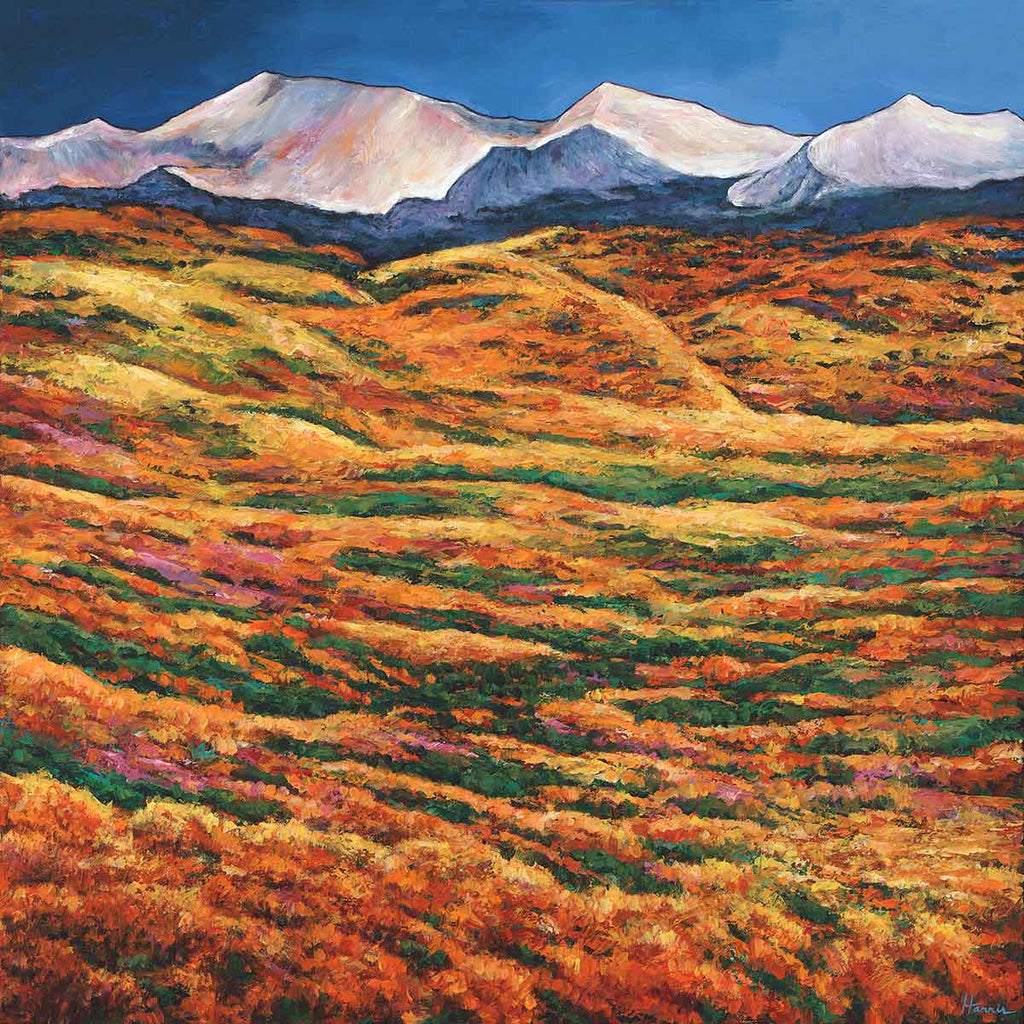 Contemporary Aspen Trees Breckenridge Colorado Southwest Landscape Art Print Johnathan Harris