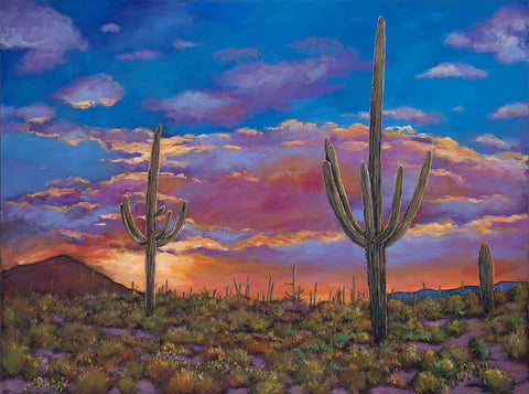 Saguaro Cacuts in the Arizona Desert Southwestern prints by Johnathan Harris