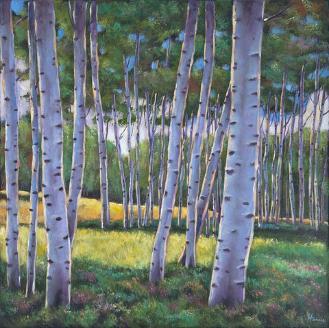 View through Aspen Contemporary Colorado Aspen tree painting by Artist Johnathan Harris