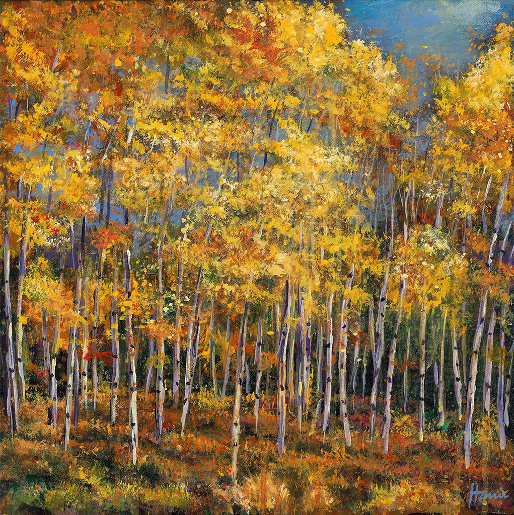 Aspen Trees of Colorado in Fall Splendor Contemporary Painting and Art Prints by Artist Johnathan Harris