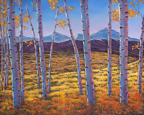 Aspen Colorado Rocky Mountains Southwest Landscape Art Print Johnathan Harris