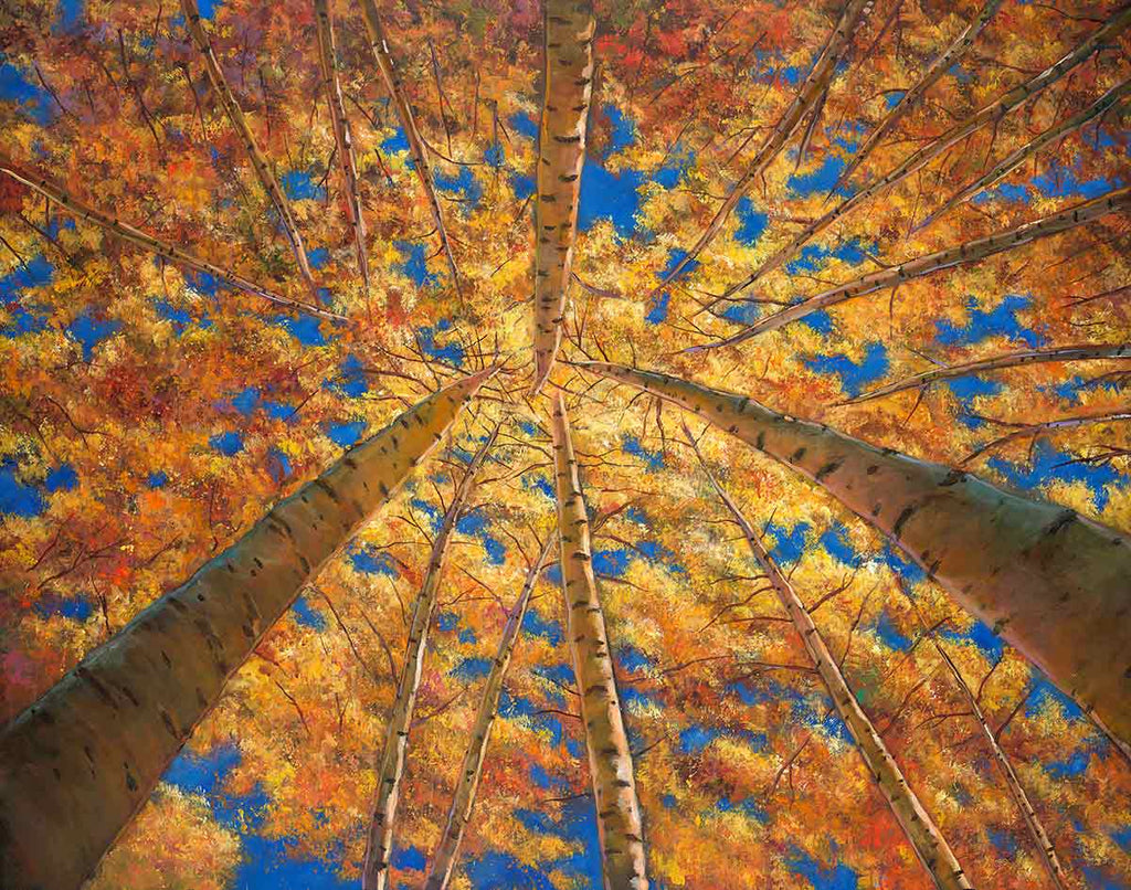 Aspen Colorado Southwest Landscape Art Print Johnathan Harris