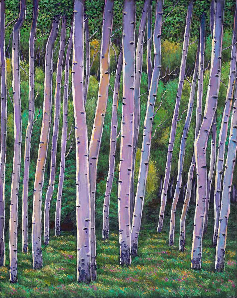 Aspen Colorado Southwest Landscape Art Print Johnathan Harris