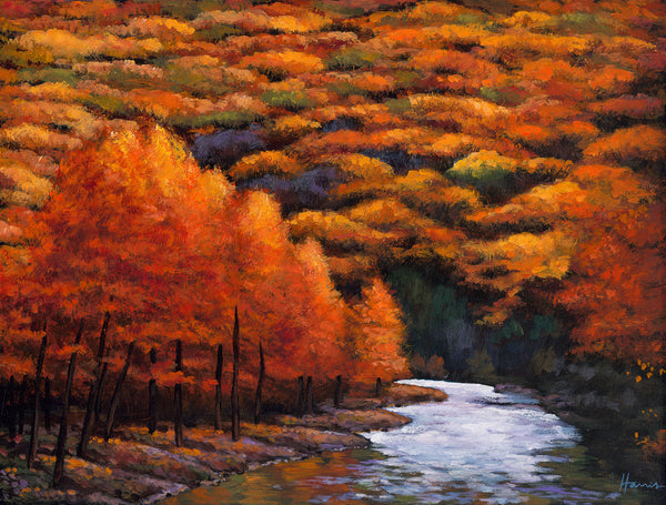 Autumn Stream Contemporary Southwest Art Johnathan Harris