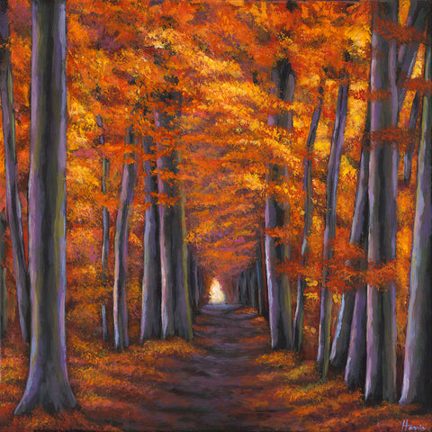 Autumn pathway in the forest Johnathan Harris Fine Art