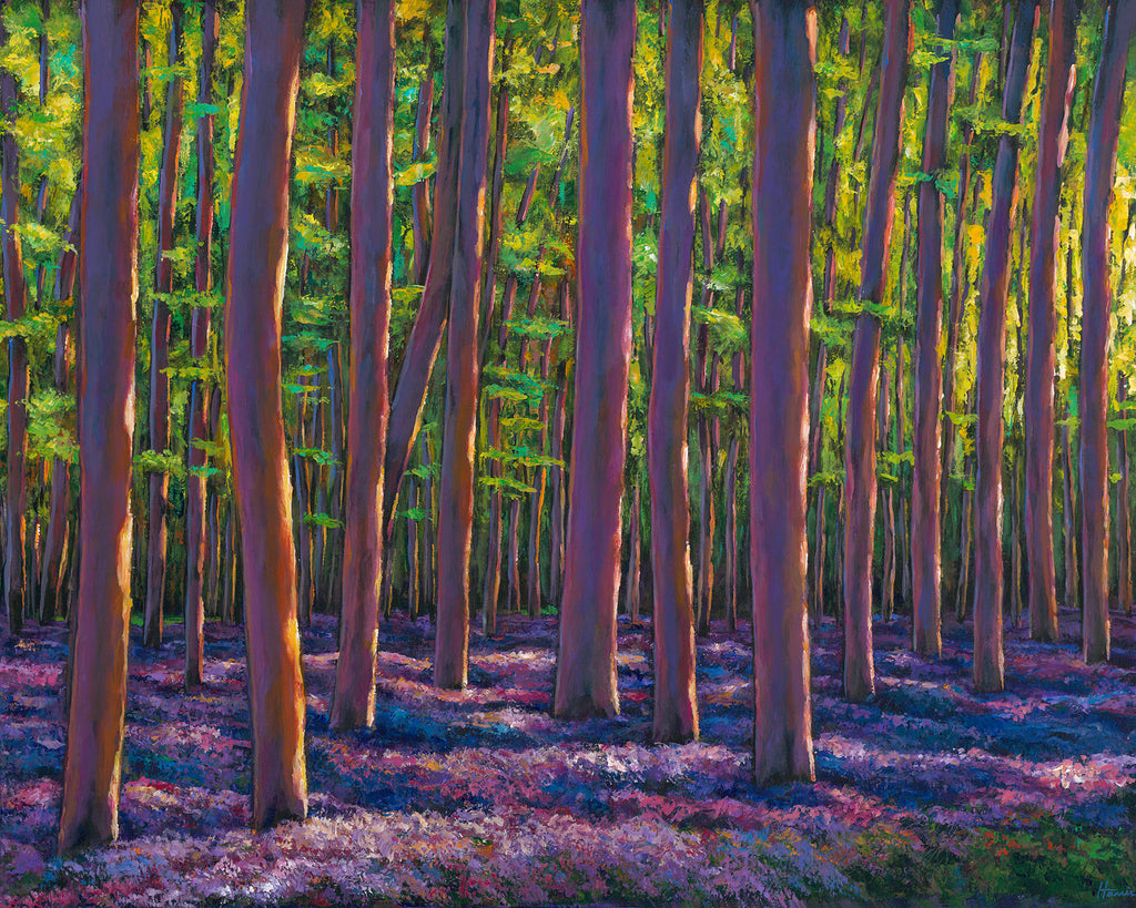 Bluebells And Forest - Johnathan Harris contemporary bluebell wildflower forest