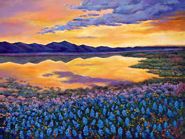 Texas Bluebonnets Southwest Landscape Art Print Johnathan Harris