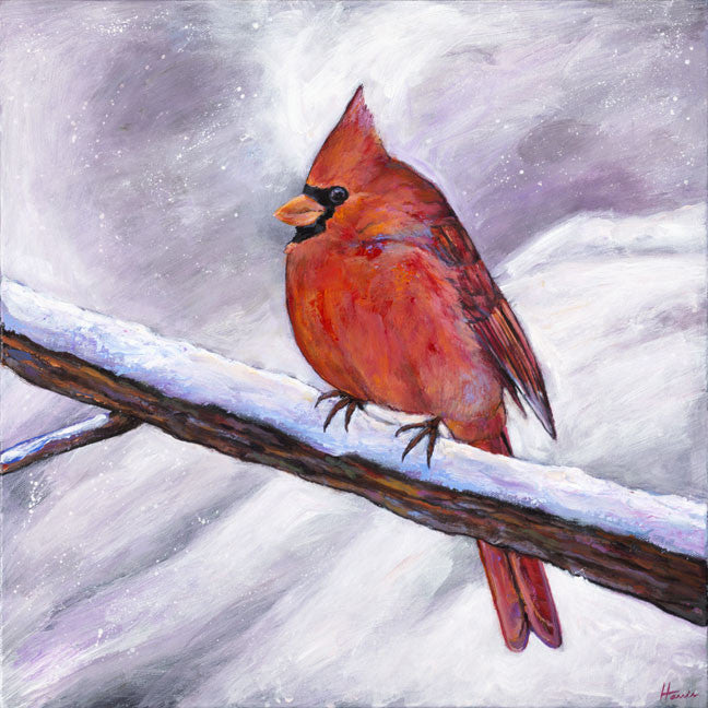 Cardinal in Winter