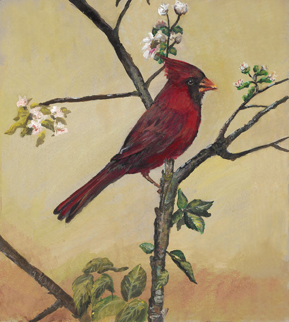 Cardinal