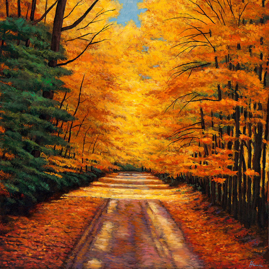 Aspen Tree Colorado Road Southwest Landscape Art Print Johnathan Harris