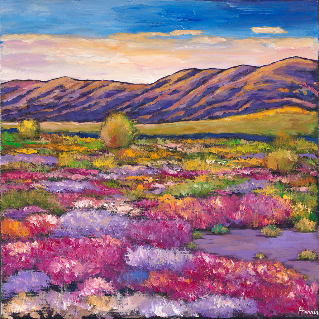 Organ Pipe Cactus Arizona Southwest Arizona Art Johnathan Harris