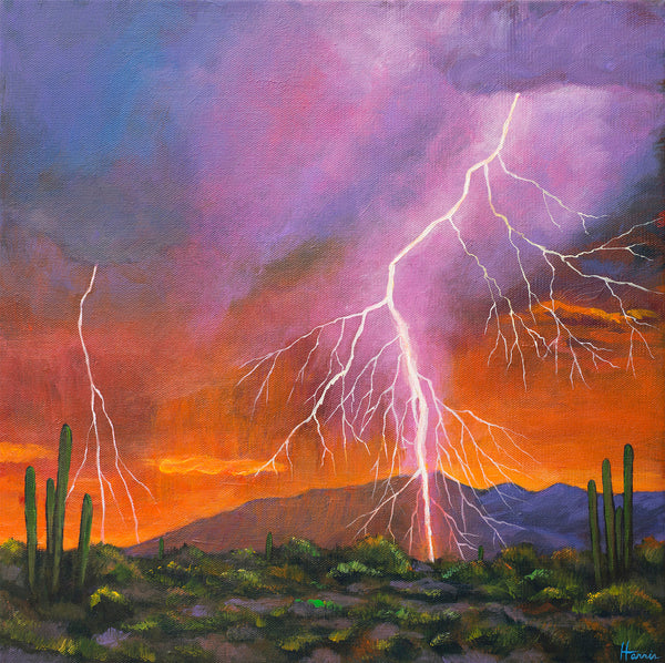 Organ Pipe Cactus Southwest Arizona Art Johnathan Harris Fire in the Sky