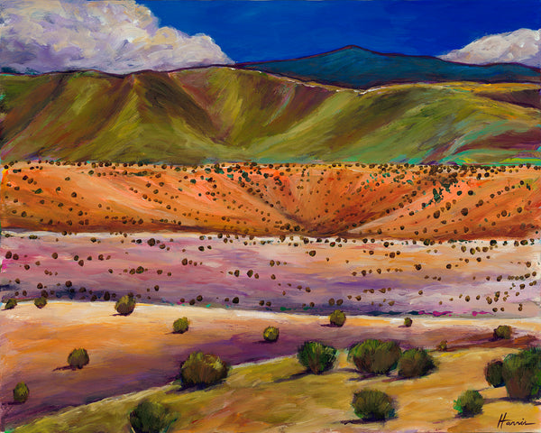 Santa Fe New Mexico Contemporary Desert Southwest Landscape Art Johnathan Harris