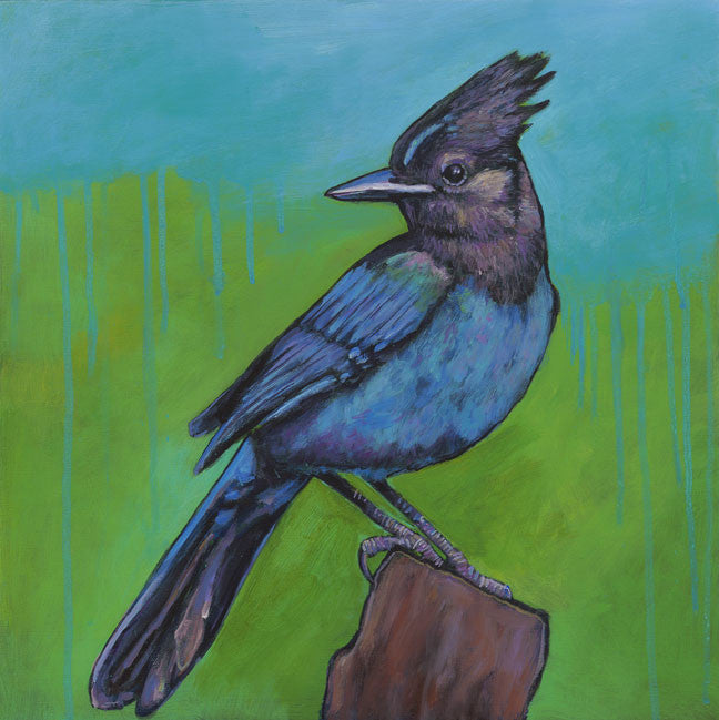 High Country Dweller