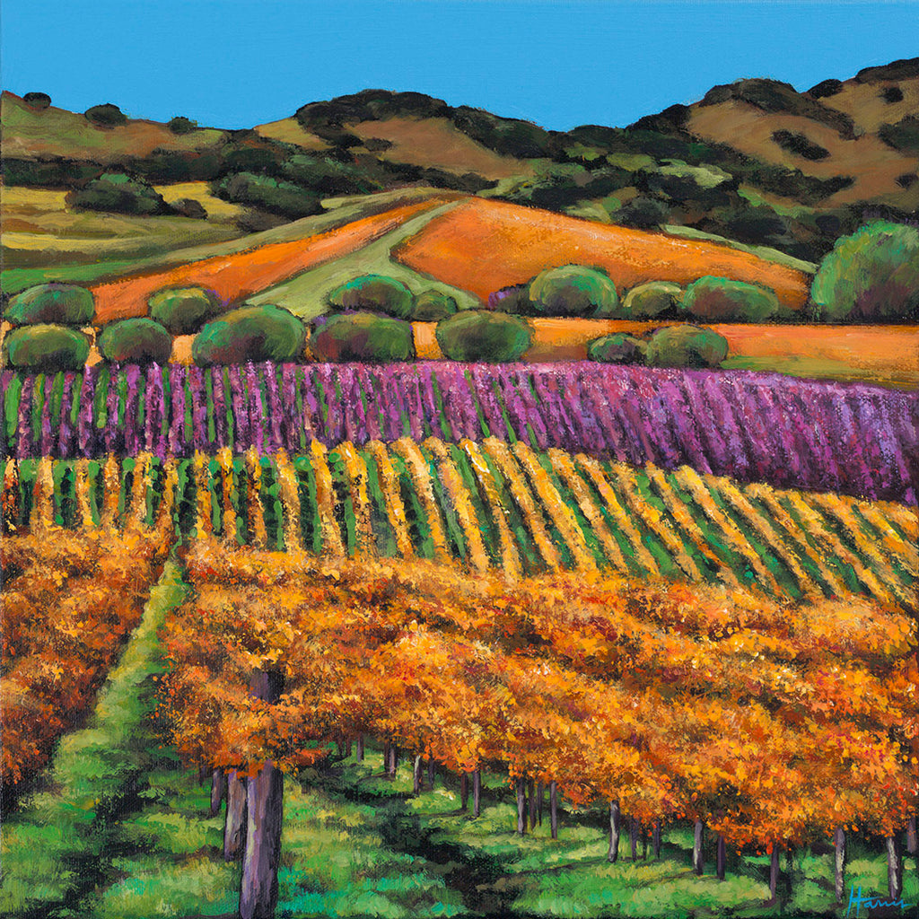 Contemporary Napa Valley painting by Johnathan Harris