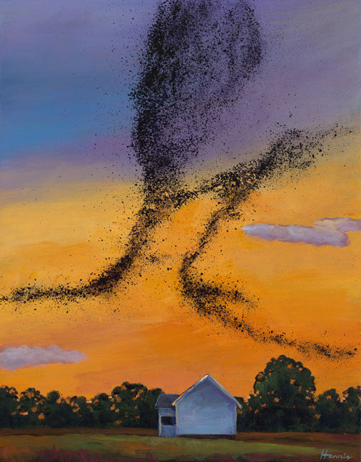 Night Flock - Johnathan Harris Fine Art