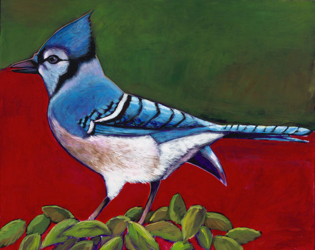Old Blue contemporary blue jay songbird painting by Johnathan Harris