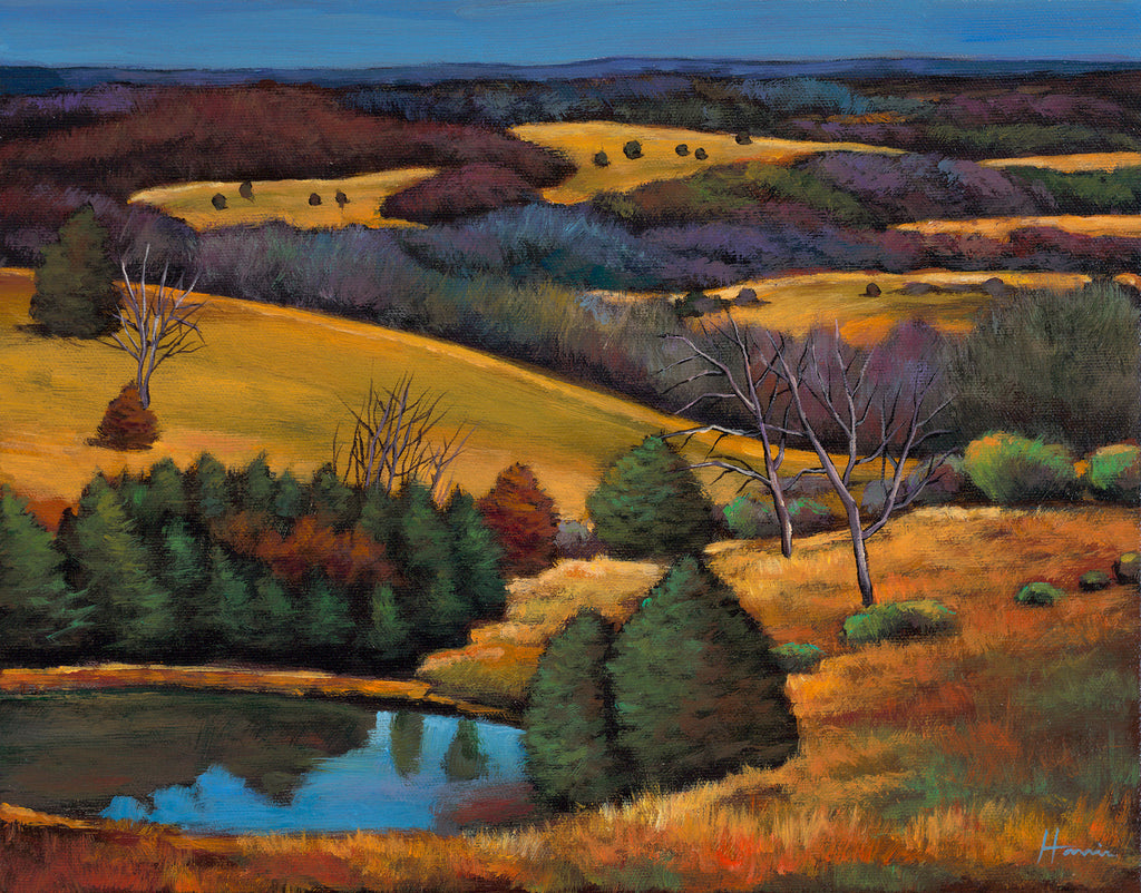 Ozark Afternoon Landscape Art Johnathan Harris