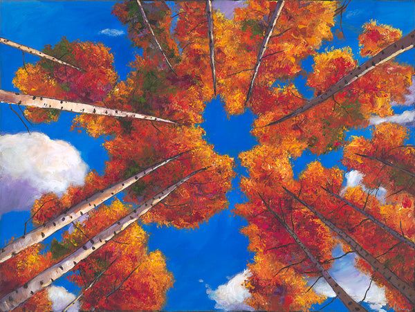 Contemporary Aspen Trees in Colorado Southwest Landscape Art Print Johnathan Harris