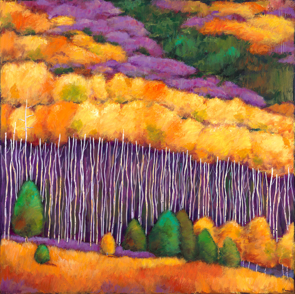 Aspen Trees in Wyoming Southwestern art prints by Johnathan Harris