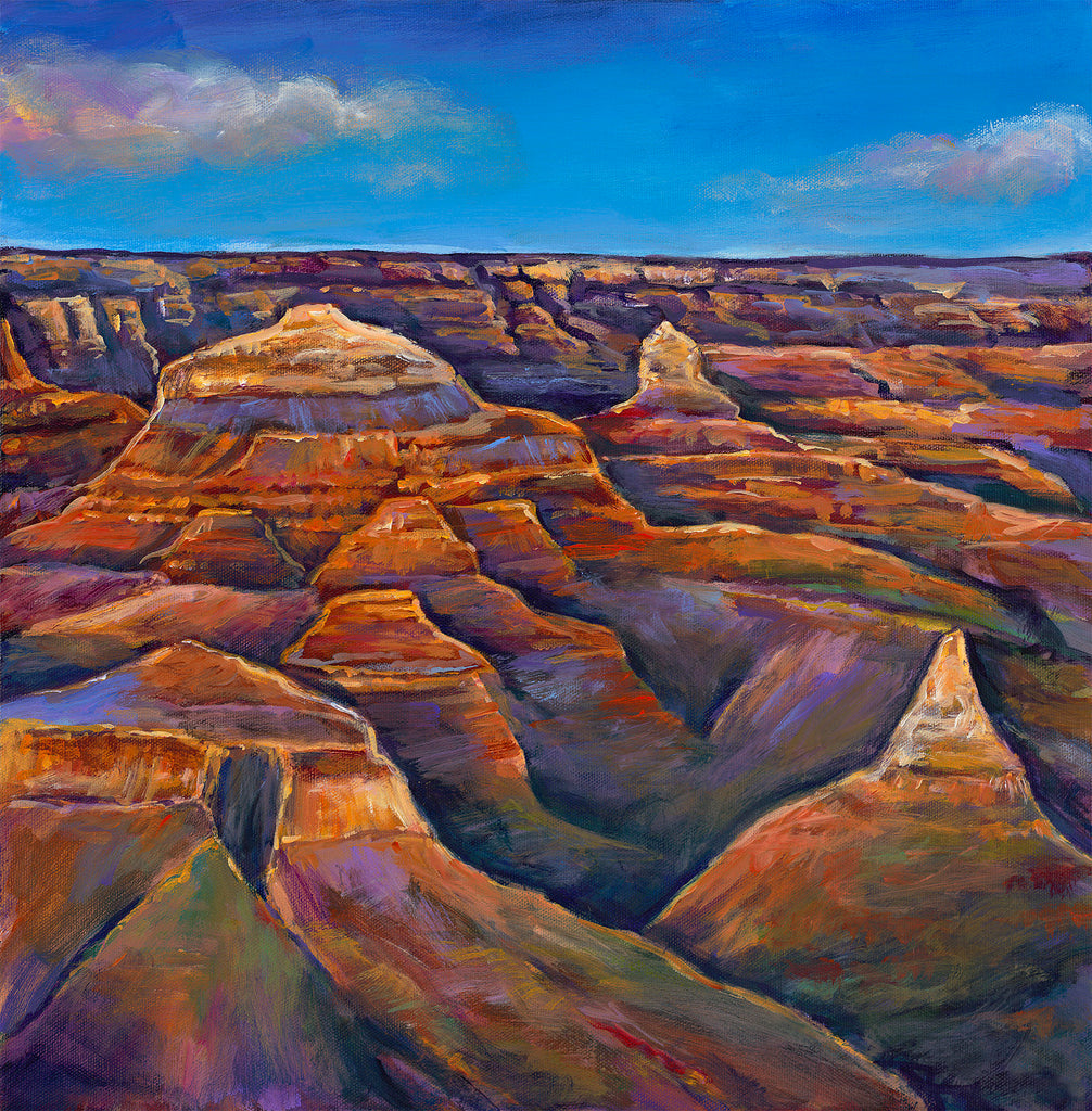 Arizona Grand Canyon South Rim Sedona by Johnathan Harris