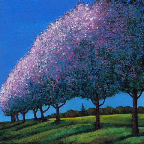 Fruit trees in spring bloom by artist Johnathan Harris