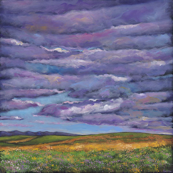 Stormy Skies Over The Prairie
