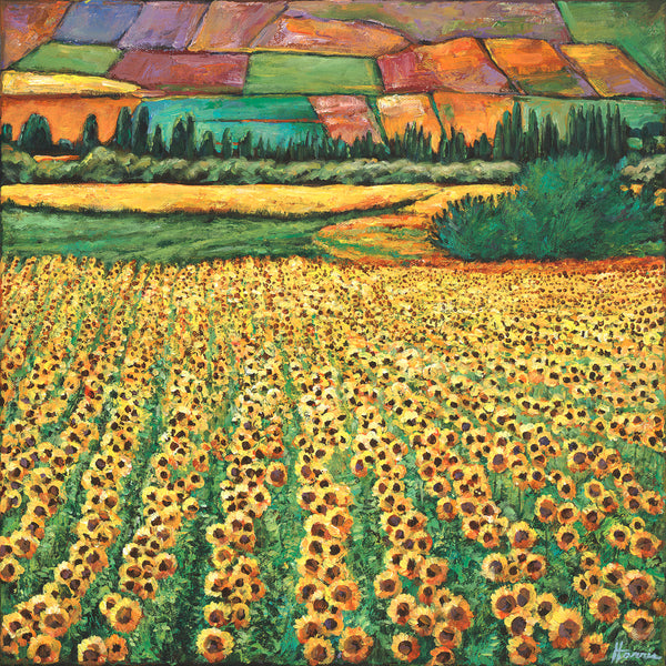 Sunflower Fields in Spain by Johnathan Harris