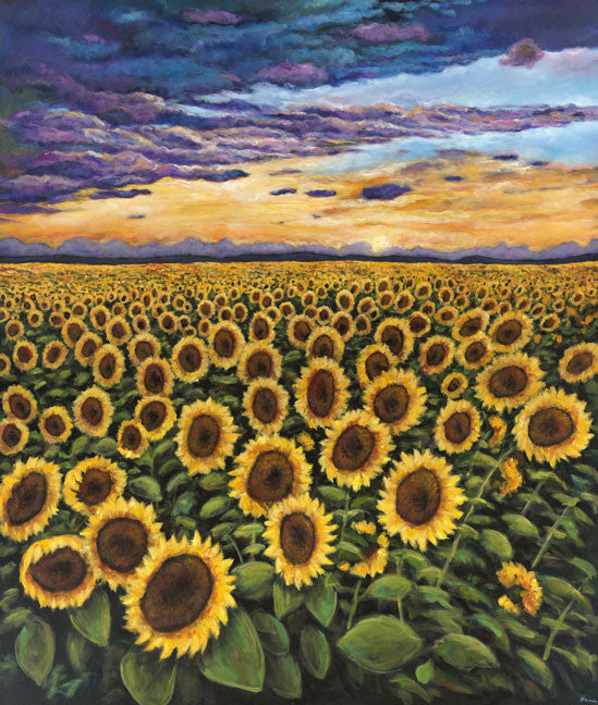 Sunset Sunburst - Spanish Sunflower contemporary landscape painting by artist Johnathan Harris