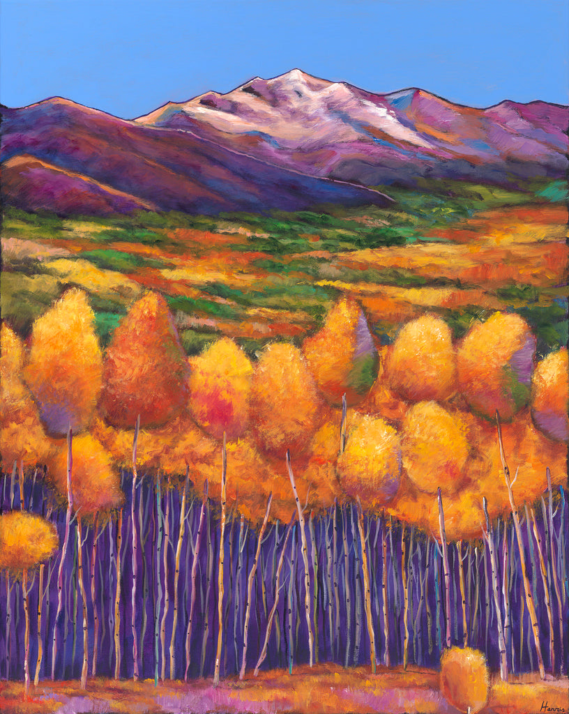 Aspen Silverton Colorado Southwest Landscape Art Print Johnathan Harris