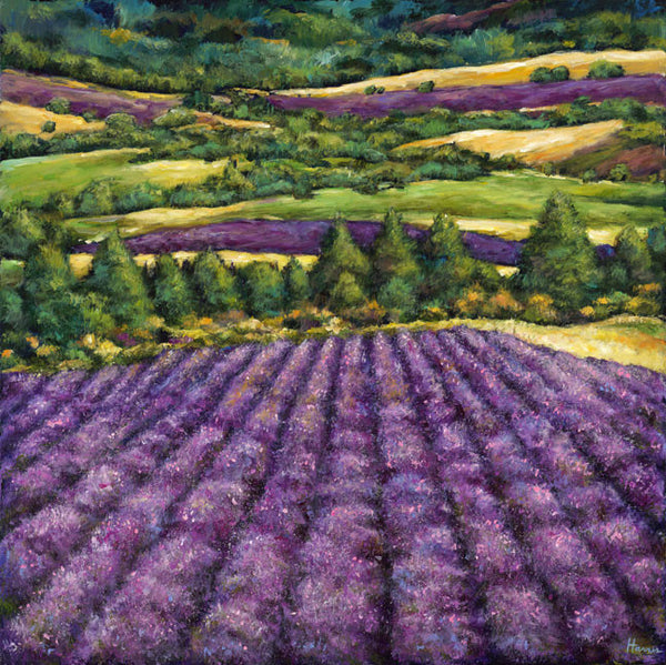 Tuscan Lavender - Contemporary landscape painting by artist Johnathan Harris