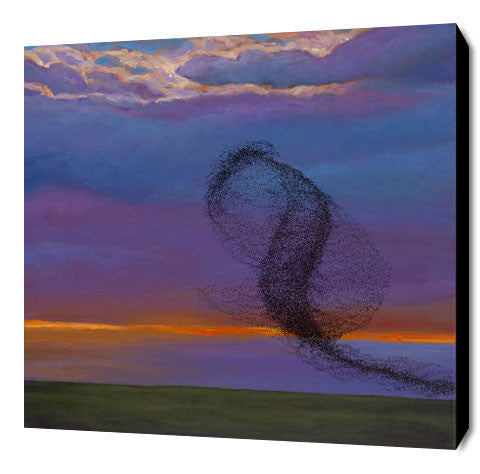 European Starling art prints by Johnathan Harris