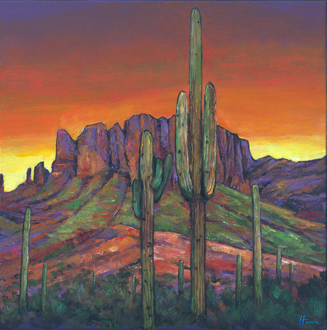 Organ Pipe Cactus and Superstition Mountains Southwest Arizona Art Johnathan Harris