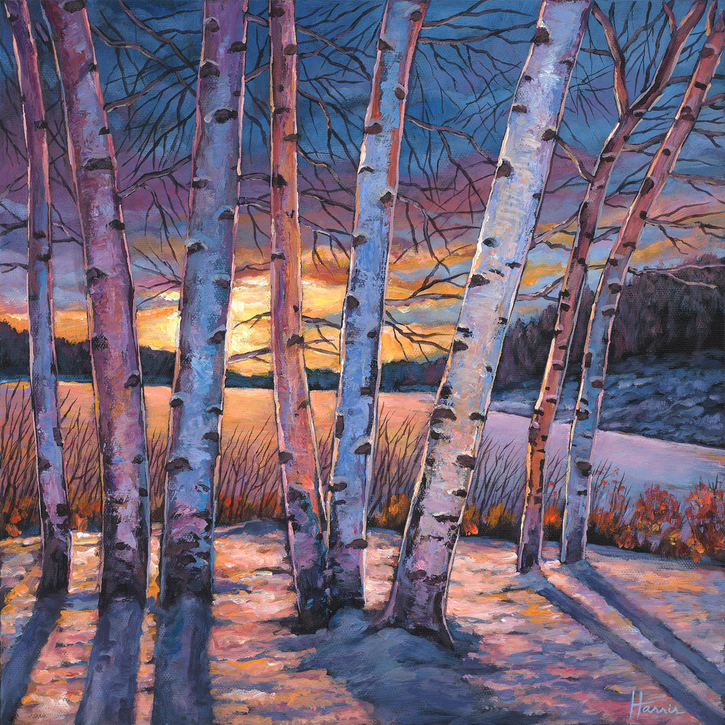 Contemporary Aspen Colorado Southwest Landscape Art Print by Johnathan Harris