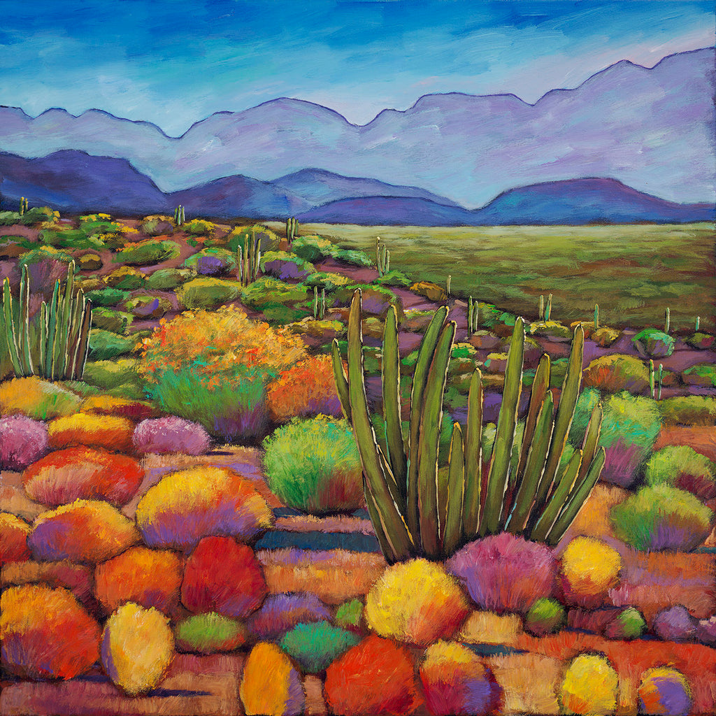 Organ Pipe Cactus National Monument Contemporary Southwestern Arizona Landscape Fine Art Print by Johnathan Harris